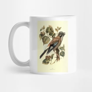 Hay Mug